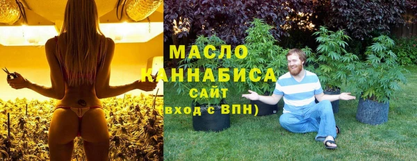 гашиш Богданович