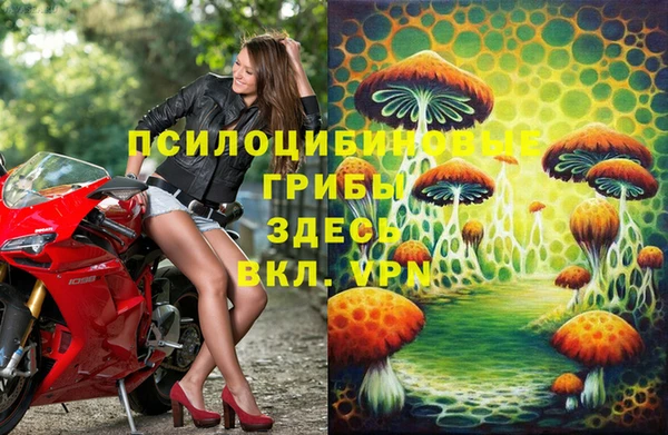 PSILOCYBIN Богородицк